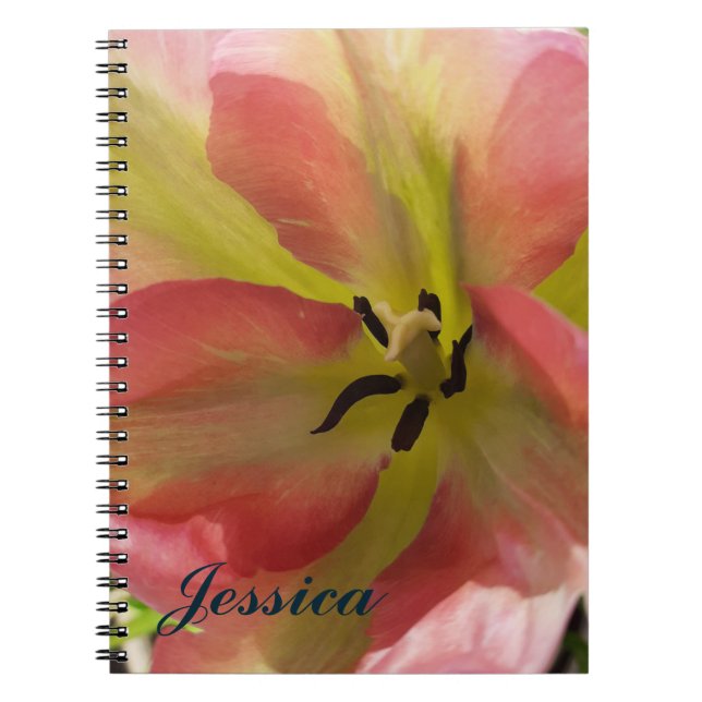 Carnet spirale rose et jaune de la tulipe (Devant)