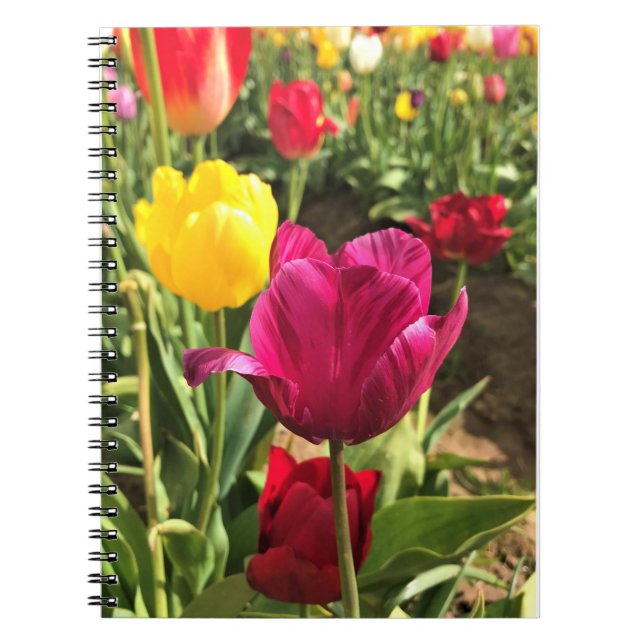 Carnet Spring tulips, Oregon (Devant)