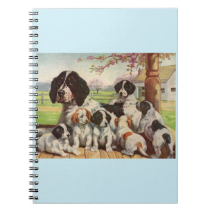 Carnet springer spaniel maman et chiots