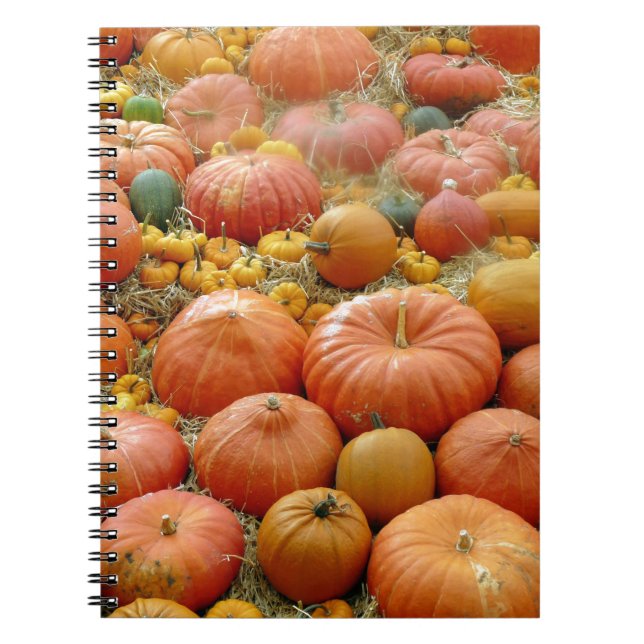 Carnet Squash Galore (Devant)