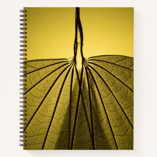 Carnet Squelette feuille (Devant)