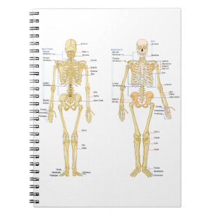 Carnet Squelette humain marqué diagramme d'anatomie