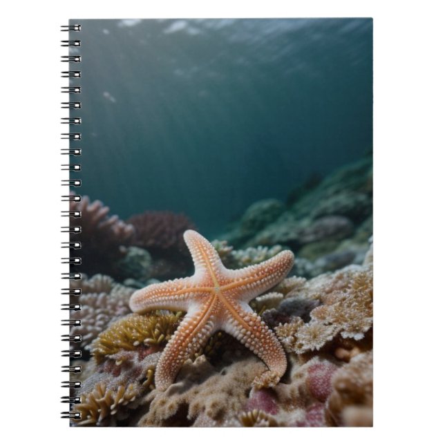 Carnet Starfish in the Deep Sea (Devant)