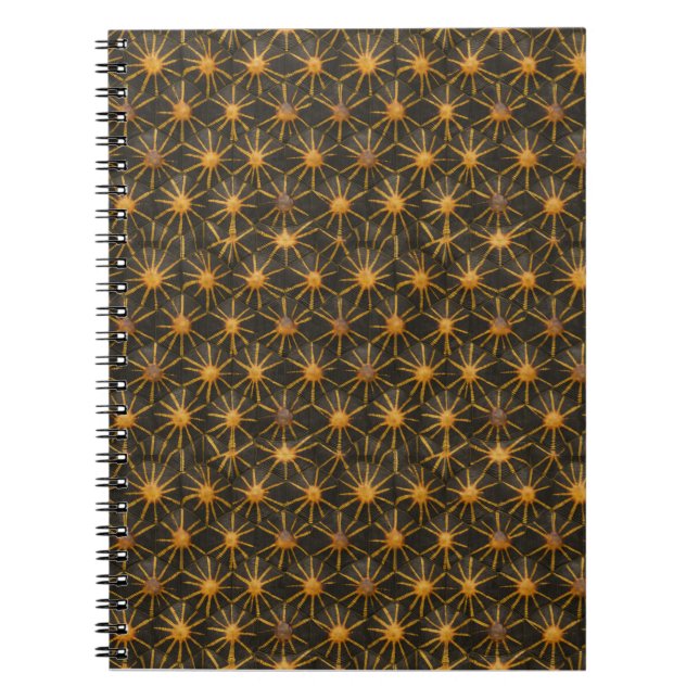 Carnet Starshield Radiata | Géométrique de l'or céleste (Devant)