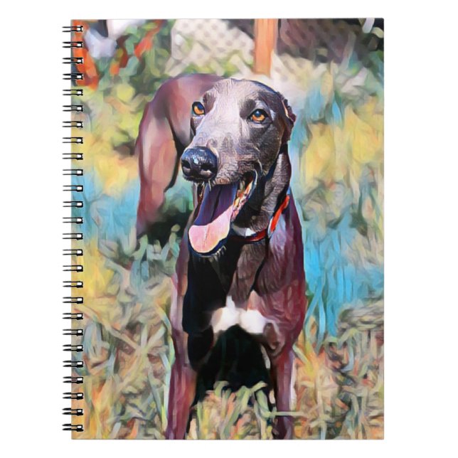 Carnet Steely (Devant)