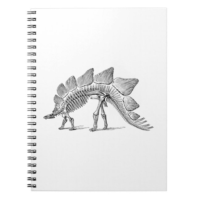 Carnet Stegosaurus Dinosaure Squelette Fossile (Devant)