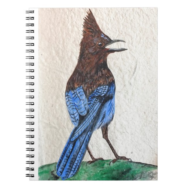 Carnet "Stellaire" (Devant)