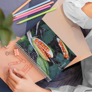 Carnet Stiner Iris Seed Pod Photo