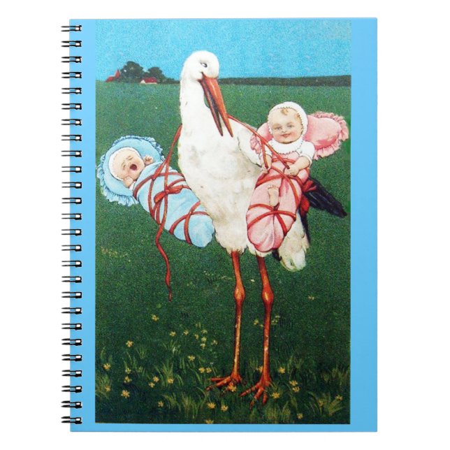 Carnet STORE BABY SHOWER JUMEAU, Rose, Bleu Turquoise (Devant)