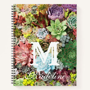 Carnet Succulents colorés
