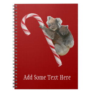 Carnet Sucre de canne Australian Koala Bears