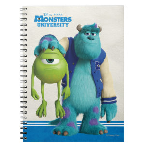 Carnet Sulley Holding Mike