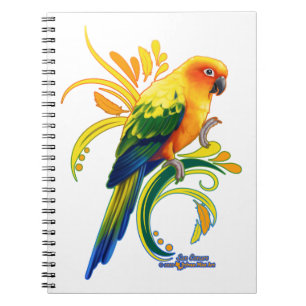 Carnet Sun Conure