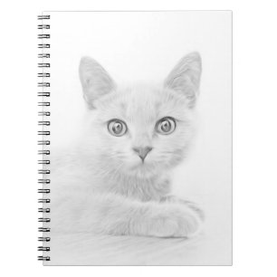 Carnet SUPER CUTE Kitten Cat Portrait