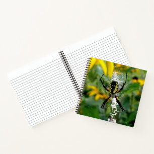 Carnet Superbe araignée orbicole dans sa toile