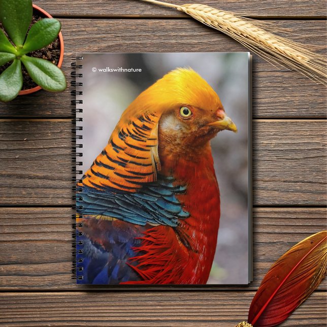 Carnet Superbe profil d'un faisan rouge doré (Profile of a Red Golden Pheasant Journal Cover Photo)