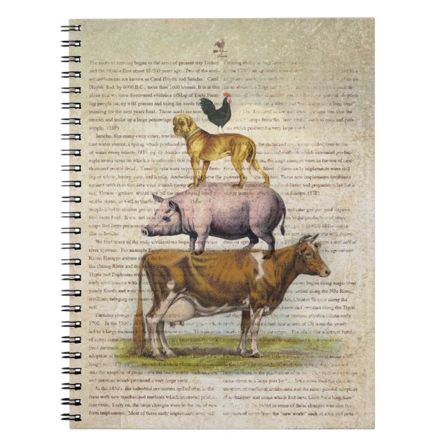 Carnet Support A1.tif de la ferme NOB10 (Devant)