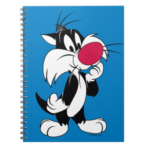 Carnet Sylvester Jr.   Pose classique
