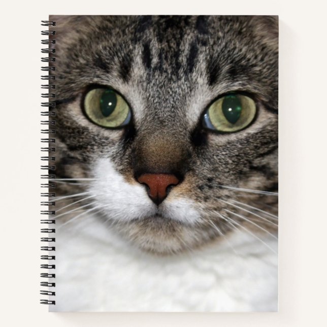 Carnet Tabby Cat Pet Animal Visage Photographie (Devant)