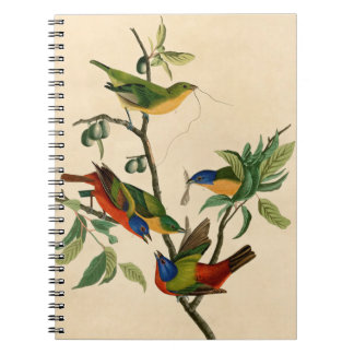 Carnet Tableau Audubon vintage Bunting Bird Peinture