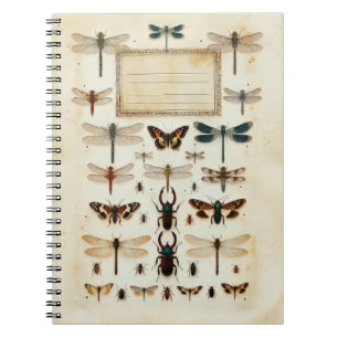 Carnet Tableau de spécimens de taxonomie de coléoptères l