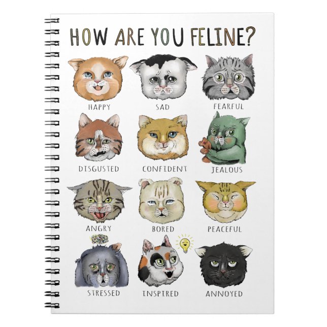 Carnet Tableau des humeurs de chat drôle Comment allez-vo (Devant)