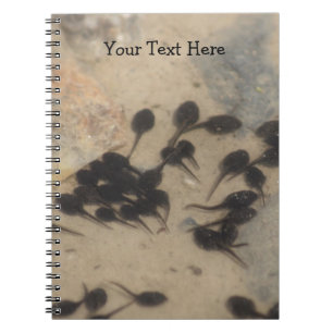 Carnet Tadpoles Nature