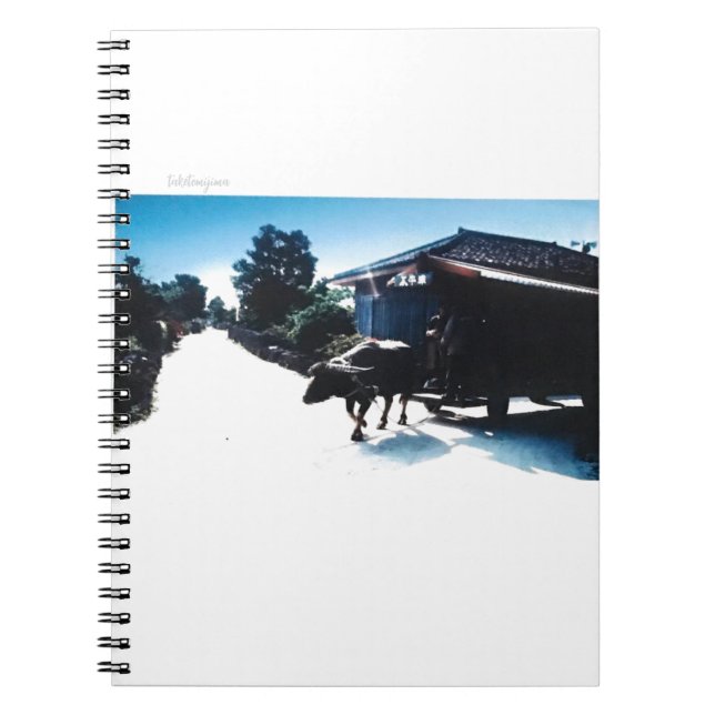 Carnet taketomi iland in japan (Devant)