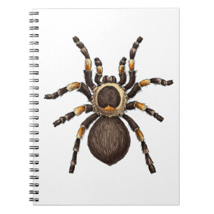 Carnet Tarantula