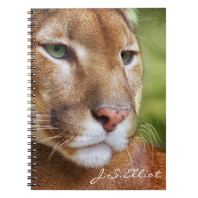 Carnet TCWC - Art de puma de puma (Devant)