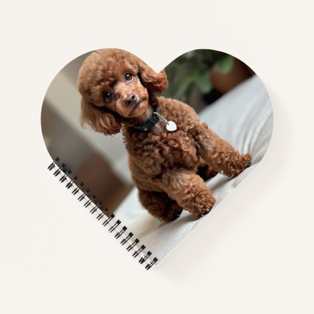 Carnet Teacup Poodle 2 (Devant)
