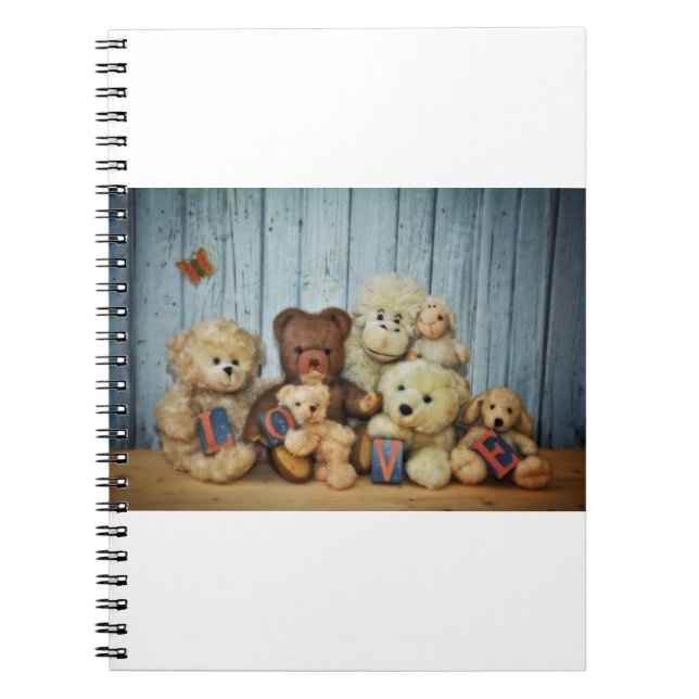 Carnet Teddy avec des amis (Devant)