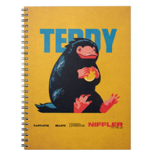 Carnet Teddy Vintage Graphic
