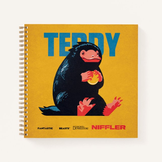 Carnet Teddy Vintage Graphic (Devant)