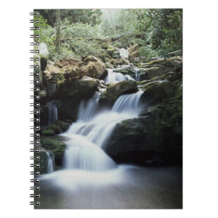 Carnet Tennessee, Parc national des Great Smoky Mountains