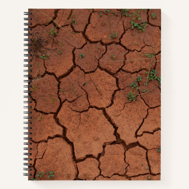 Carnet terrain sec et fissuré (Devant)