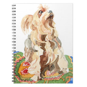Carnet Terrier de Yorkshire 2012