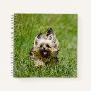 Carnet Terrier Yorkshire mignon Traversant L'Herbe