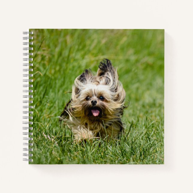 Carnet Terrier Yorkshire mignon Traversant L'Herbe (Devant)