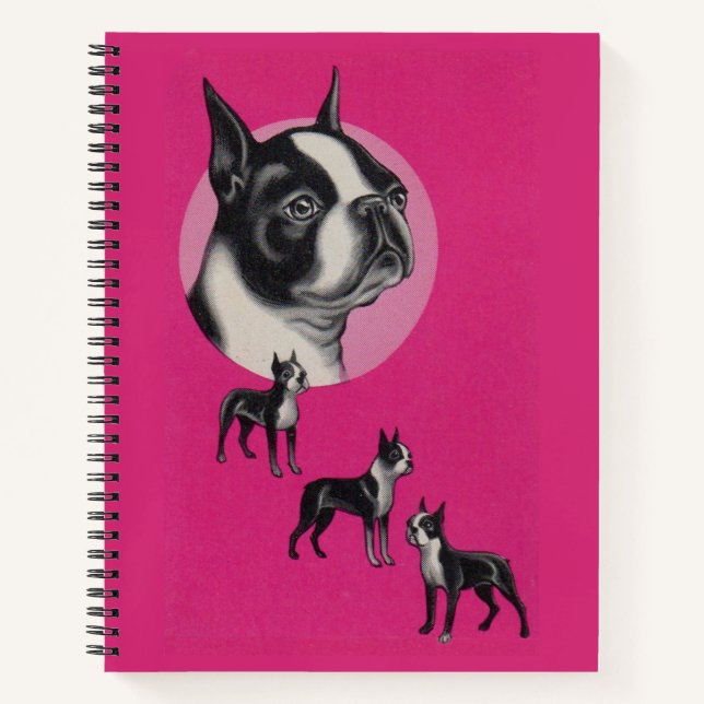 Carnet terriers de Boston (Devant)