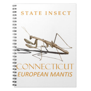Carnet Territoire du Connecticut Insecte Mantis religiosa