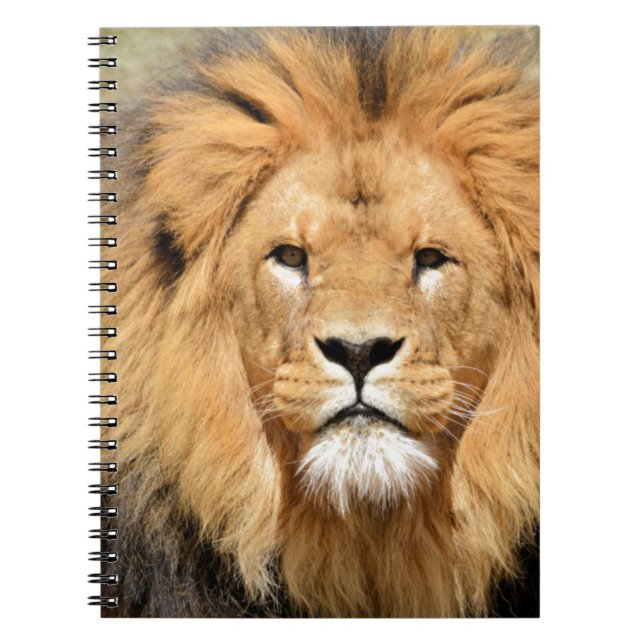 Carnet Tête de Lions (Devant)