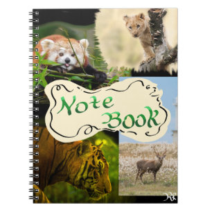 Carnet Thème faune sauvage 