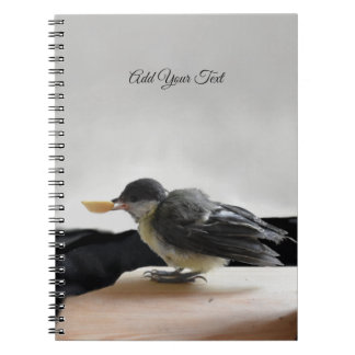 Carnet Tidi my Bird le Parus Major