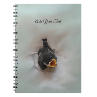 Carnet Tidi my Bird le Parus Major