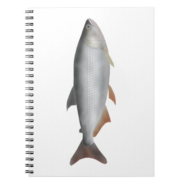 Carnet Tiete tetra (Devant)