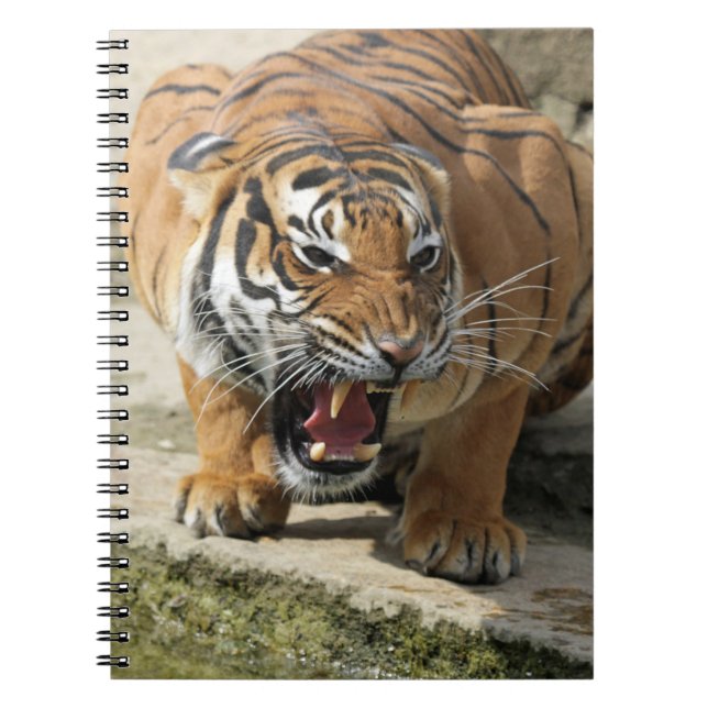 Carnet Tiger_2015_0156 (Devant)