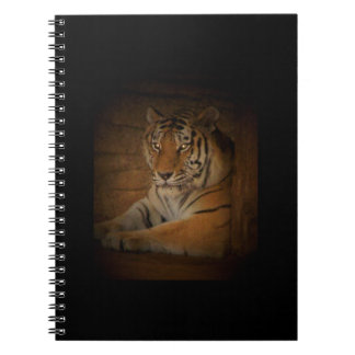 Carnet tigre
