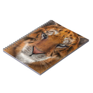 Carnet Tigre
