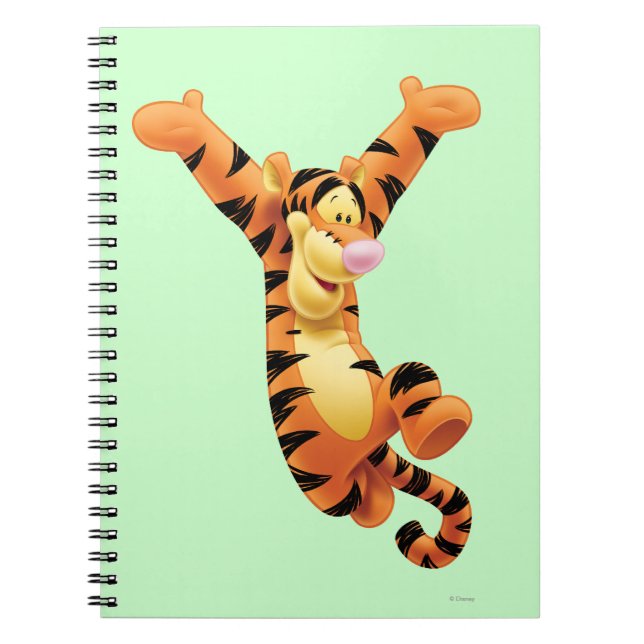 Carnet Tigre 7 (Devant)